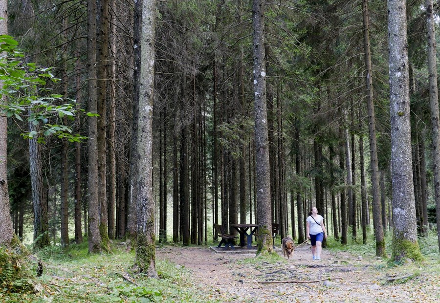 FONDOVALLE CONCEI WALK, Villaggio Azzurro Ledro