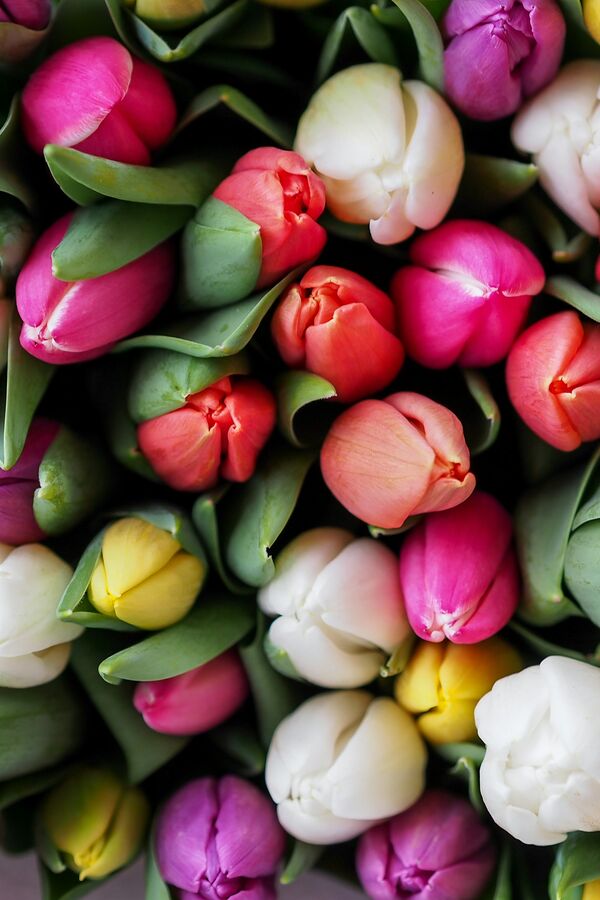 Scopri le offerte che ti abbiamo riservato