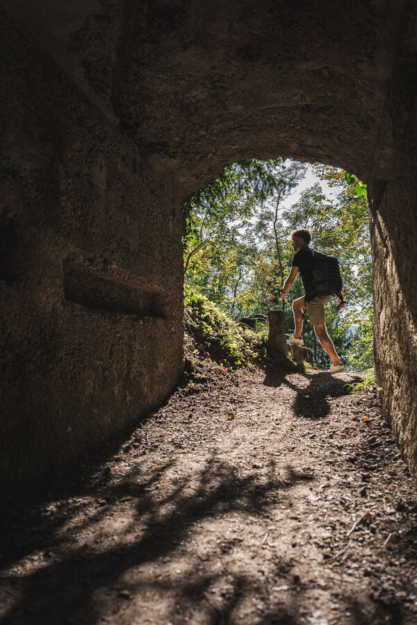 Scopri le offerte che ti abbiamo riservato