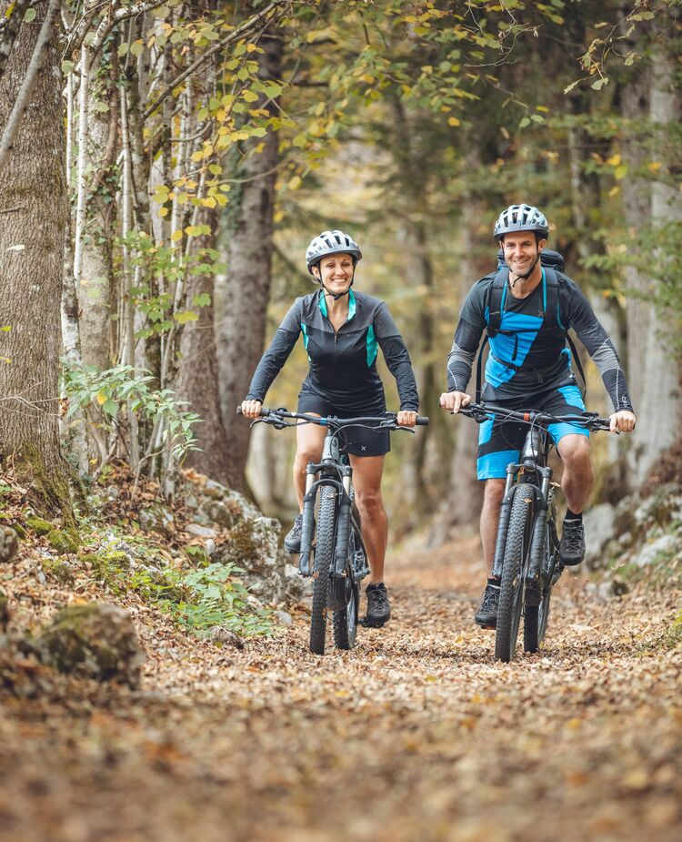 Active Experience & Wellness